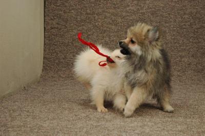 Feb22a_05_048.JPG