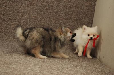 Feb22a_05_057.JPG