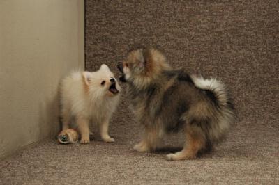 Feb22a_05_090.JPG
