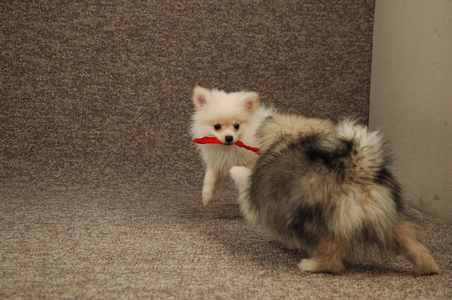 Feb22a_05_049.JPG