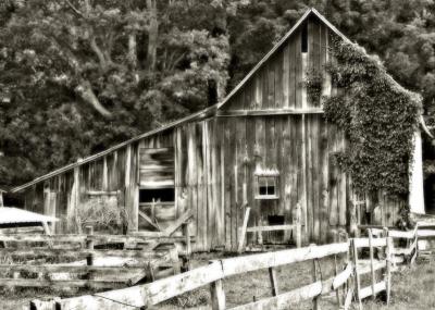 Old Barn