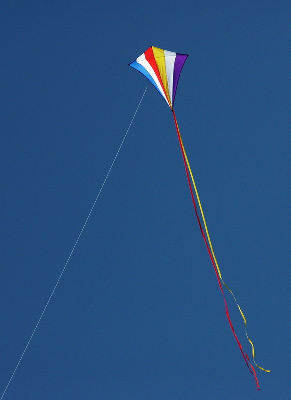 Kite