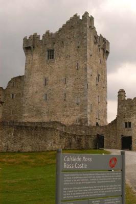 u48/bmcmorrow/medium/30456244.IrelandB158.jpg