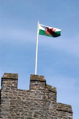 u48/bmcmorrow/medium/30969534.IreWalesMay041018.jpg