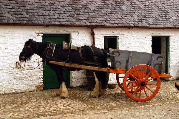 Muckross Farms