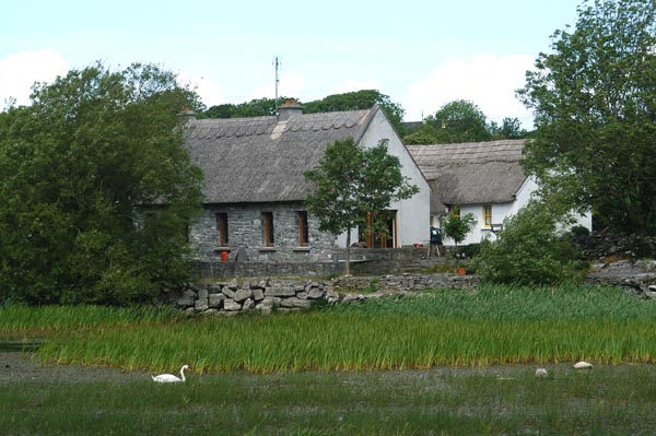 Near Kinvarra, Co. Galway