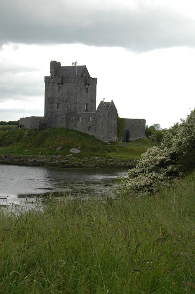 Dunguaire Castle