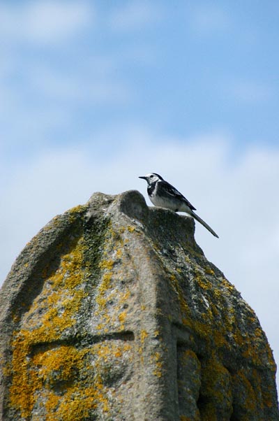 Clonmacnoise