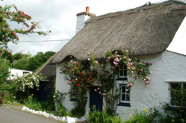 Cottage near Oxwich, Gower Peninsula