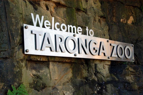 Welcome to Taronga Zoo