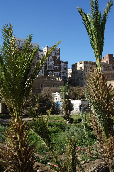 Garden, Old Town Sana'a