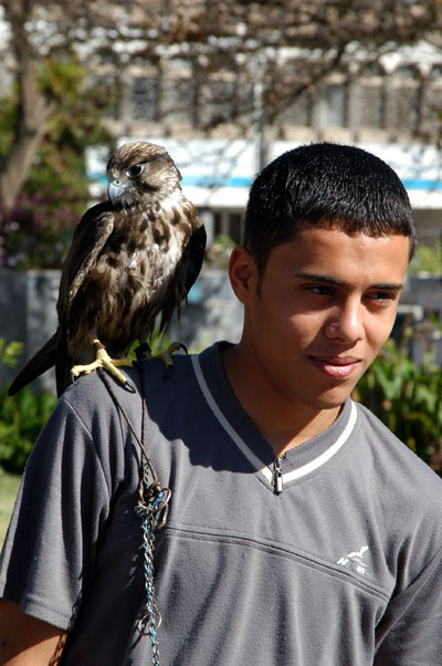 Guy posing with falcon, Tahrir Square, Yemen