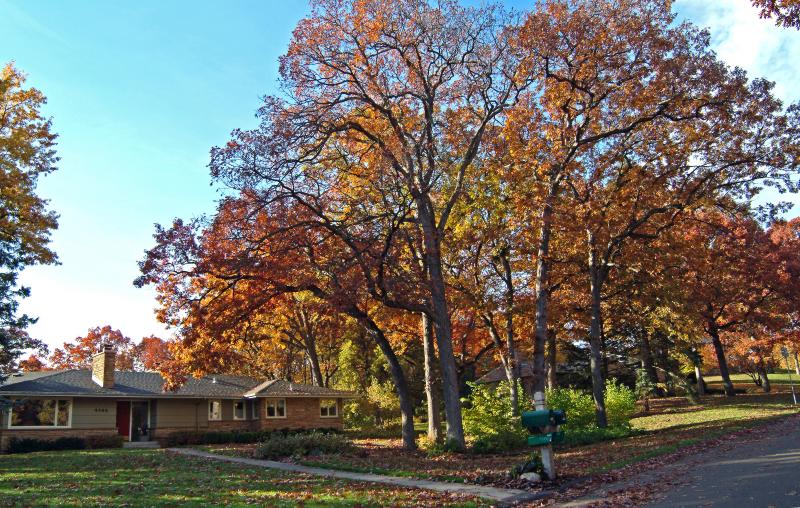 Early Sunday Fall Morning in Minnetonka, MN