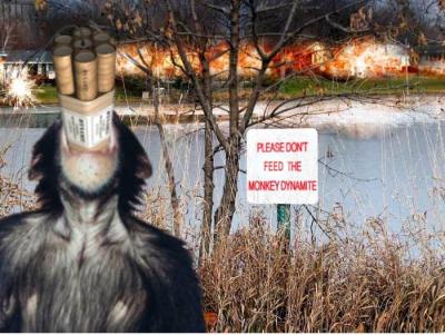 20041209monkey.jpg