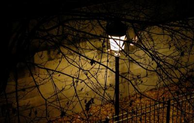 2004-11-29: lamp, night