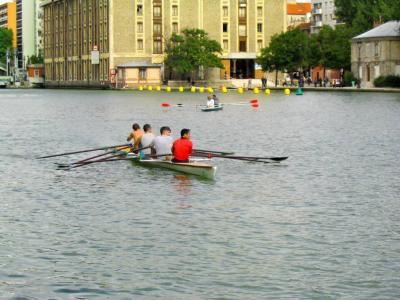 Sculling