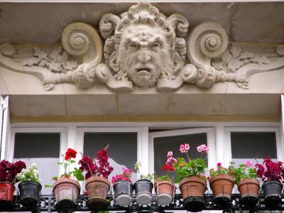 Guardian of the flowerpots