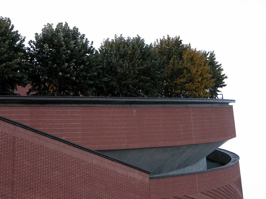 Cathdral dvry: trees