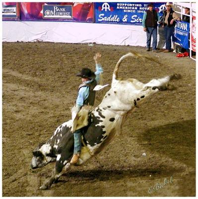 The American Royal Rodeo Finals 2004