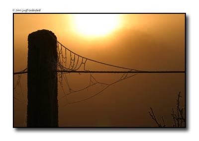 frosty spider's web suspension bridge - sunrise 2 copy.jpg