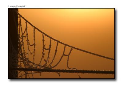 frosty spider's web suspension bridge - sunrise copy.jpg