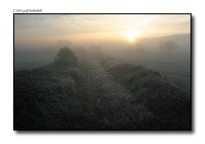 railway line - field - mist - tree - sunrise copy.jpg