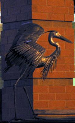 u48/brock63/medium/40091656.IMG_1077.jpg