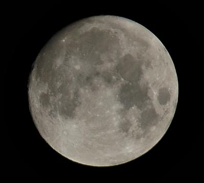 DSC_6959_ps.jpg