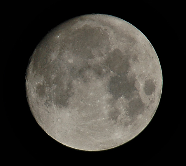 DSC_6959_ps.jpg
