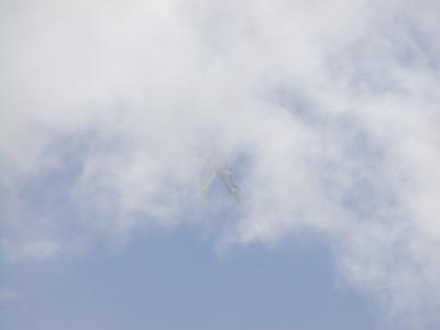u48/burlsey/medium/30728207.Goodwood_FOS_2004_066.jpg