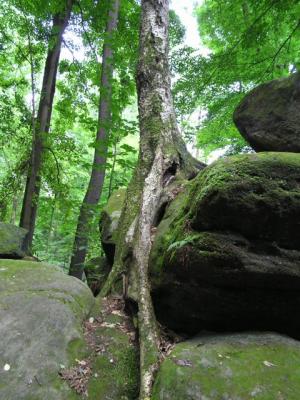 Ledges 4