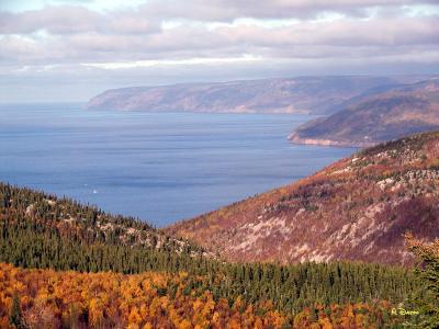 A Cabot Trail View