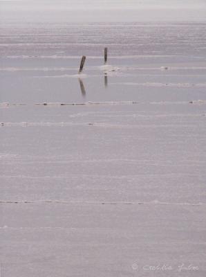 u48/cecilialim/medium/35498451.Tozeur.SaltLake.2Sticks.jpg