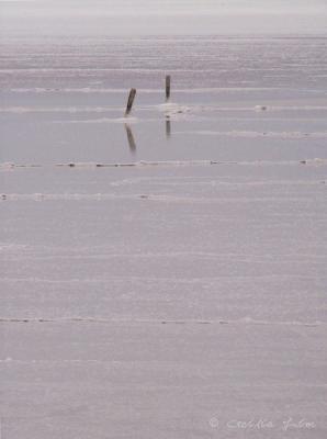 Beacons of the Salt Flats