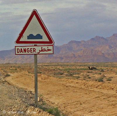 Danger-Humps!