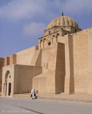 Fortified Walls of The Great Mosque, Kairouan