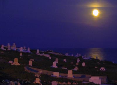 Cemetery By Moonlight