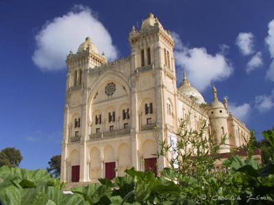 Cathedral of St.Louise
