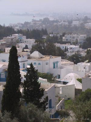Panoramic View of Sidi Bou Said