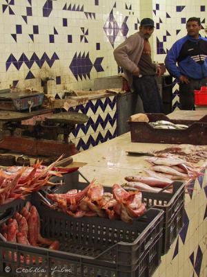 Fish Market Near Bab Jedid