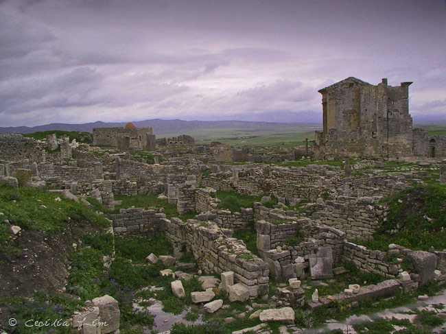 The Capitol, The Forum and A Mosque, Dougga