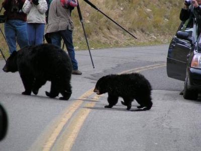 Close encounter