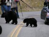 Close encounter