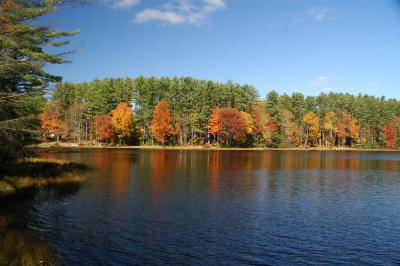 DSC_6811.JPG
