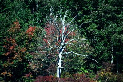 DSC_4892.JPG