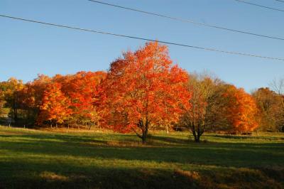 DSC_6690.jpg