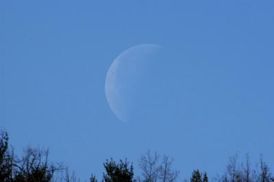 Afternoon moon