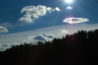 DSC_8596.jpg