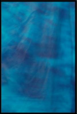 Sharon Burch