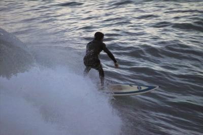 IMG20336.jpg